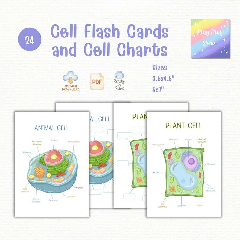 Labeled Flash Cards In Cell Flash Cards & Science Posters – Plant and Animal Cell Diagram ...