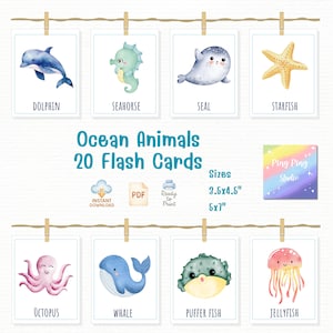 May include: A set of 20 ocean animal flash cards, including a dolphin, seahorse, seal, starfish, octopus, whale, puffer fish, and jellyfish. The cards are watercolor illustrations and are available in 3.5x4.5 inch and 5x7 inch sizes.