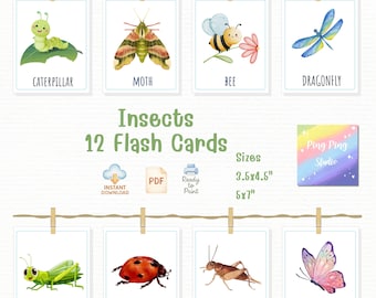 Flashcard di insetti ad acquerello: apprendimento della natura secondo il metodo Montessori (set di 12 in formato PDF scaricabile)