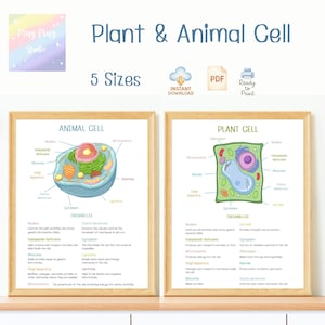 Plant and Animal Cell Posters | Educational Biology PDF | Classroom Science Wall Art for Kids