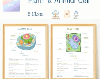 May include: Two framed educational posters. One depicts an animal cell, the other a plant cell, with labeled organelles. The text reads "Plant & Animal Cell" and "5 Sizes". Includes "Instant Download" and "Ready to Print" icons.