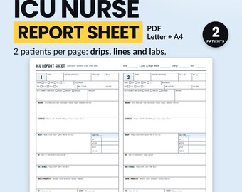 ICU Nurse Report Sheet, 2 Patients, Hourly Flow Page, Printable PDF, Editable Excel