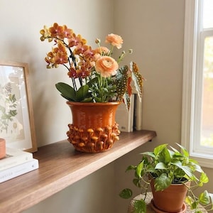 May include: A glossy, burnt-orange ceramic planter featuring a textured exterior adorned with numerous small, sculpted mushrooms. The planter holds a vibrant arrangement of orange orchids, peach-coloured ranunculus, and spotted begonia leaves.