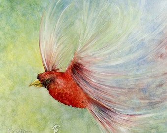 Surreal Red Bird, Cardinal Archival Print Reproduction From A Watercolor Painting