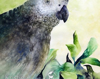 African Grey Bird, Parrot Print, Archival Reproduction From A Watercolor Painting