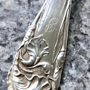 May include: Close-up of a silver spoon with an ornate floral design and the letter "E" engraved on the handle.