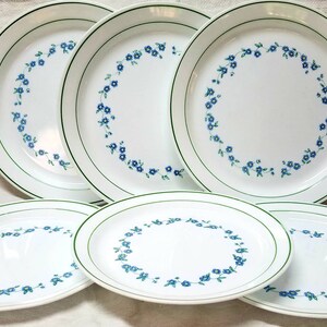 Vintage Corelle Forget me not Plates