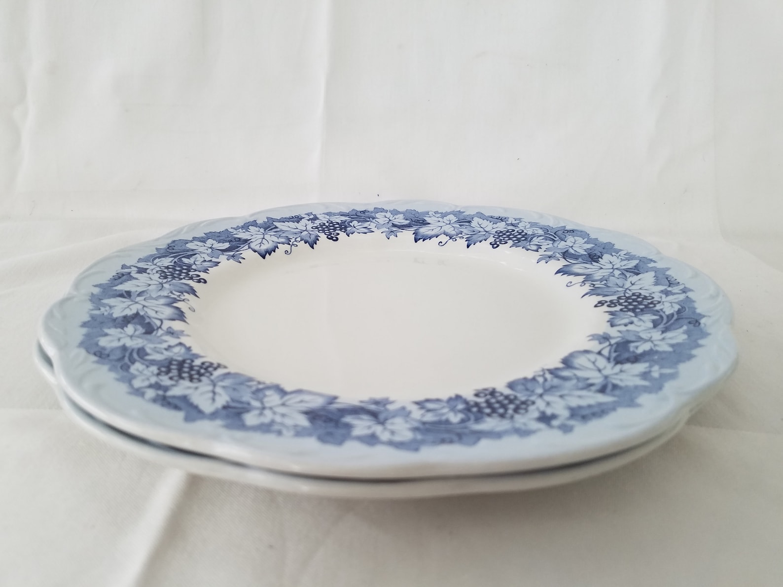 Vintage Cordon Bleu Dinner Plates Set of 2 Meakin England Etsy