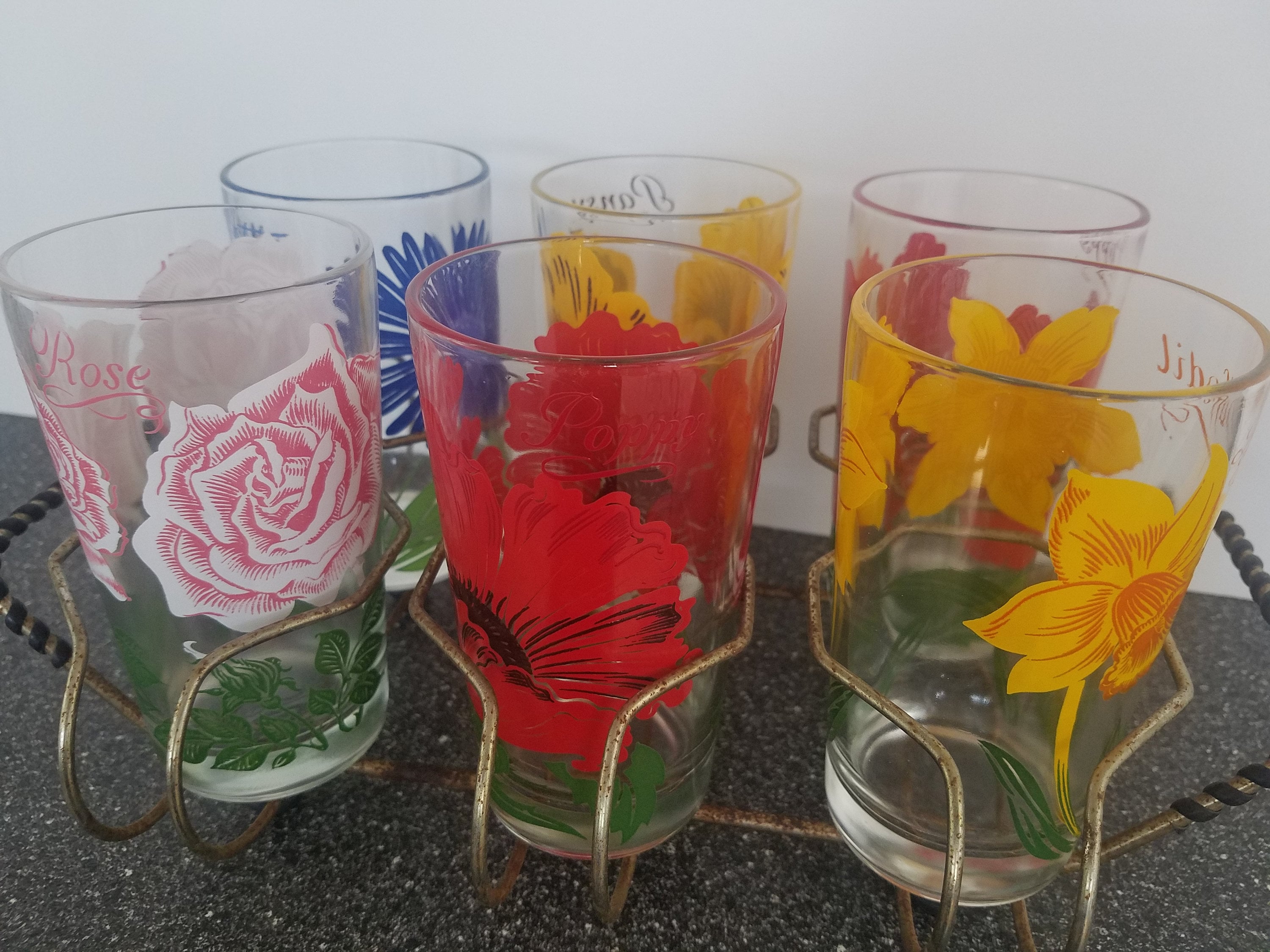 Vintage Botanist Drinking Glass Set, Luxurious Floral Embossed