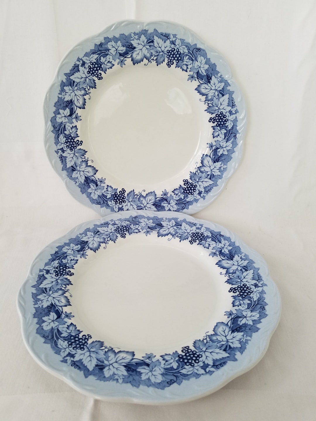 Vintage Cordon Bleu Dinner Plates Set of 2 Meakin England Etsy