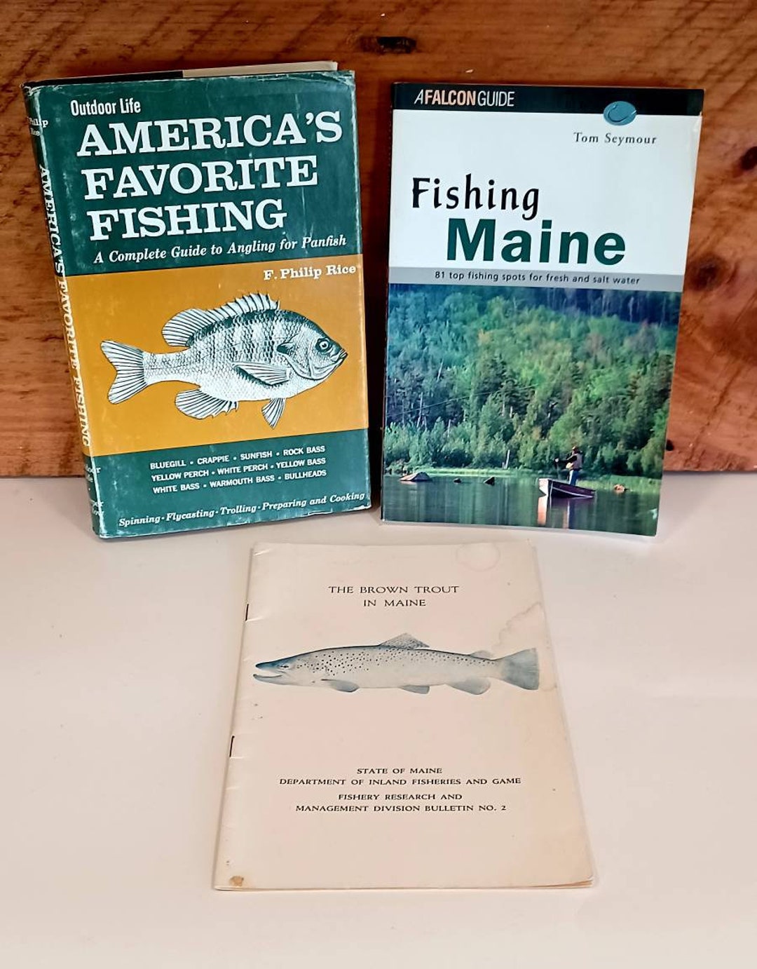 State of Maine Fisheries Game Brown Trout in Maine Outdoor Life