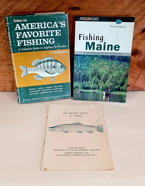 State of Maine Fisheries Game Brown Trout in Maine Outdoor Life Fishing  Books Maine Fishing Fly Casting Trolling Spinning 