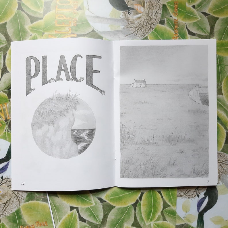 Kleptomania 4 Graphite Comics Etsy