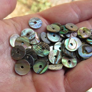 Natural Abalone Shell Beads: 10mm Flat Round, Iridescent Jewelry Supply (25 pc)