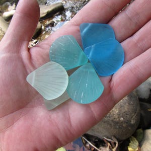 Cultured Sea Glass SHELL PENDANTS 30x28mm Flat Assorted recycled frosted bead supply making jewelry