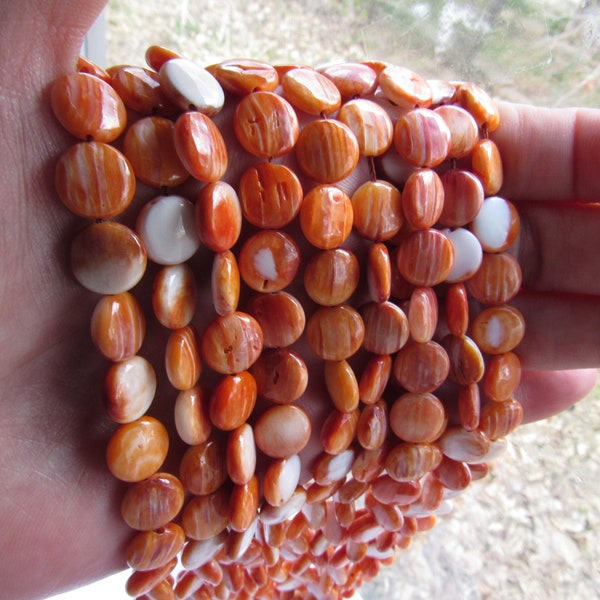 Orange Spiny Oyster BEADS 12mm 10mm Coin Natural SHELL Genuine Sea of Cortez for making jewelry