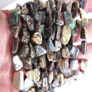 Abalone Paua Shell Beads: 8-12mm Freeform nugget strands Jewelry making bead Supply