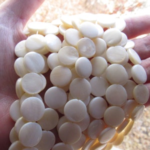 May include: A strand of white round shell beads, each bead has a slightly iridescent finish.