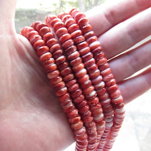 rare Red Spiny Oyster SHELL BEADS 8mm Rondelles Sea of Cortez jewelry making supply