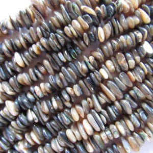 May include: A strand of iridescent abalone shell beads in shades of brown, gray, and black. The beads are flat and oval-shaped, with a smooth, polished finish.