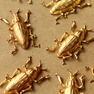 1 pc. Large Raw Brass Beetle Stamping: 30mm by 20mm - made in USA | RB-859