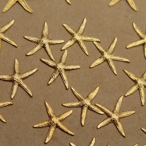 8 pc. Raw Brass Starfish Stampings: 19mm by 20mm - made in USA | RB-324