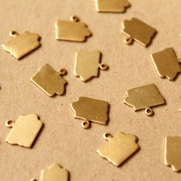 8 pc. Raw Brass Iowa State Charms / Blanks: 12mm by 10mm - made in USA | RB-993