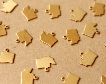 8 pc. Raw Brass Washington State Charms / Blanks: 11.5mm by 11mm - made in USA | RB-984