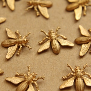 2 pc. Raw Brass Insect Stampings: 19mm by 15.5mm - made in USA | RB-877