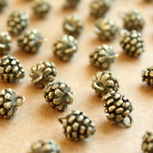 May include: A collection of small, metallic-colored pinecone-shaped charms. Each charm has a textured surface and a small loop at the top for attaching to jewelry or other crafts. The charms are scattered on a neutral background.