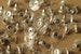 100 pc. Silver Plated Comfort Clutch Earnuts | FI-034 