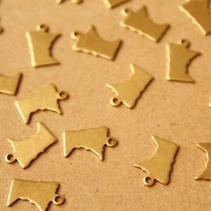 Peut inclure: Plusieurs petits breloques en métal doré en forme de l'État du Minnesota. Chaque breloque est dotée d'une petite boucle en haut pour l'attacher à un collier ou un bracelet. Les breloques sont disposées sur une surface brun clair.