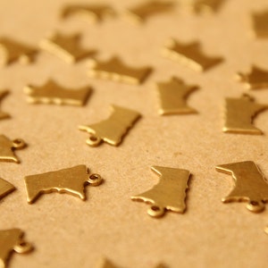 8 pc. Raw Brass Minnesota State Charms / Blanks: 9mm by 12mm made in USA RB-978 image 3