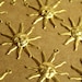 see more listings in the Med./Lg. Brass Stampings section