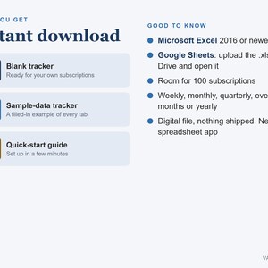 Subscription Tracker Spreadsheet, Monthly and Yearly Subscription Costs with Renewal Dates (Digital Download) image 6