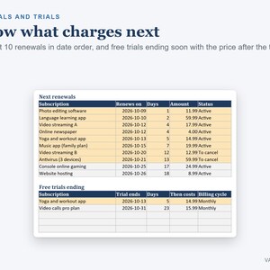 Subscription Tracker Spreadsheet, Monthly and Yearly Subscription Costs with Renewal Dates (Digital Download) image 3