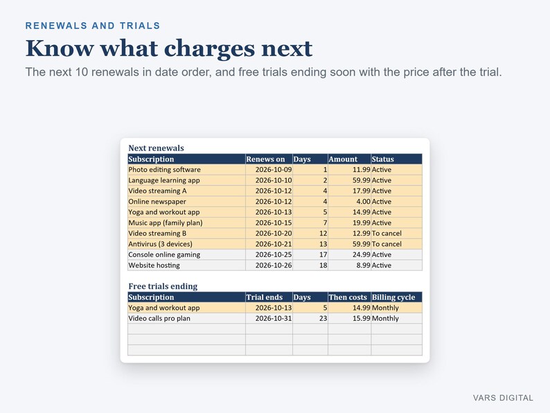 Subscription Tracker Spreadsheet, Monthly and Yearly Subscription Costs with Renewal Dates (Digital Download) image 3