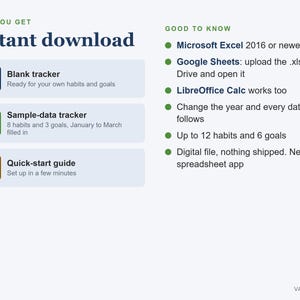Habit Tracker Excel Spreadsheet 2027, Yearly Habit and Goal Tracker, Streaks, Dashboard image 7