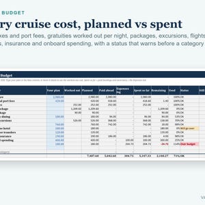 Cruise Planner Spreadsheet, Drink Package Calculator, Cruise Itinerary, Budget and Packing List (Excel) bild 6