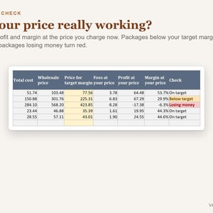 Pu&ograve; includere: Una tabella di controllo dei profitti intitolata Is your price really working? con testo che spiega lo stato del margine. La tabella mostra colonne per costo totale, prezzo all'ingrosso, margine target, commissioni, profitto e margine con colori.