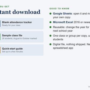 Attendance Tracker Spreadsheet, School Year Class Register, Absence Flag and Summary (Digital Download) immagine 5