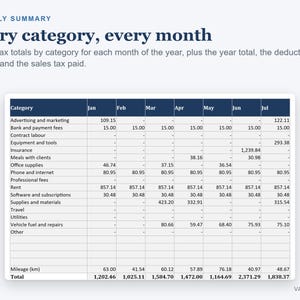 Pu&ograve; includere: Una tabella di riepilogo finanziario mensile intitolata Every category, every month. La tabella elenca le categorie di spese aziendali come pubblicit&agrave;, affitto e utenze in colonne da gennaio a luglio, mostrando i valori numerici.