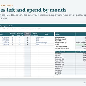 GLP1 Tracker Spreadsheet, Injection Log, Weight Loss Tracker, Dose and Side Effect Log (Excel) image 8