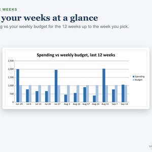 Weekly Budget Planner Spreadsheet, Spending Tracker with Bills and Savings (Digital Download) image 4