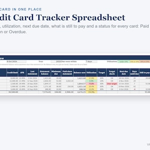 May include: A digital credit card tracker spreadsheet titled Every Card in One Place. The table displays columns for credit limit, APR, statement balance, minimum due, utilization, next due date, and payment status for various credit cards.
