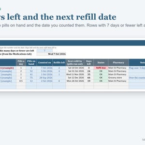 Medication Tracker Spreadsheet, Pill Log with Refill Tracker and Monthly Dose Checklist (Excel) image 3