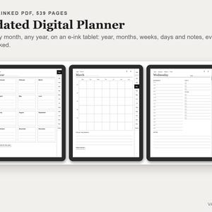 Undated Digital Planner, Hyperlinked PDF for E-Ink Tablets, Portrait, Daily Weekly Monthly, Habit Tracker image 2