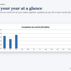 Habit Tracker Excel Spreadsheet 2027, Yearly Habit and Goal Tracker, Streaks, Dashboard image 4