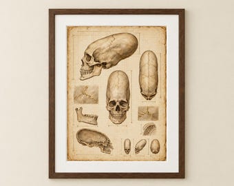 Ancient Giants Set of 6 Printable Wall Art | Vintage Naturalist Sketch Archaeology Journal | Dark Academia Cabinet of Curiosities | Digital