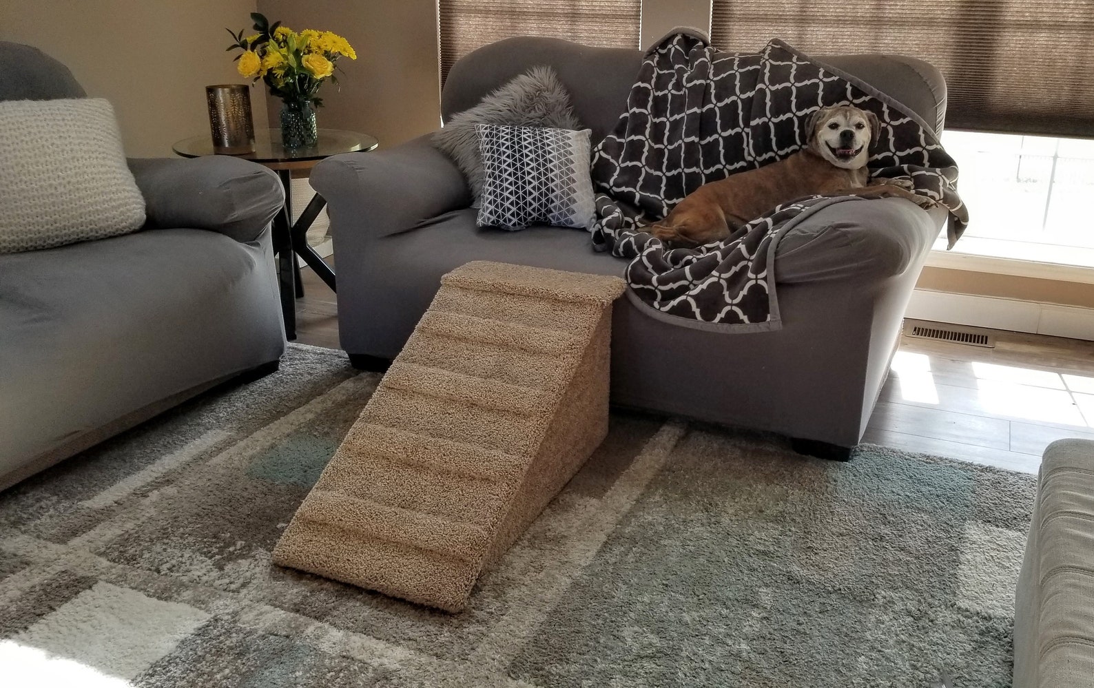 Dog Ramp for Sofa Gentle Incline with BuiltIn Steps NO Etsy